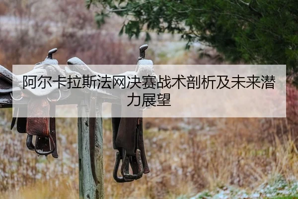 阿尔卡拉斯法网决赛战术剖析及未来潜力展望（Kaiyun）